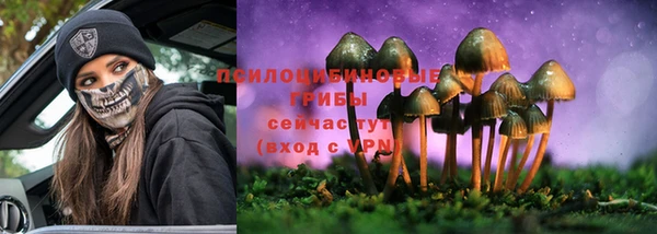 прущие крисы Белоозёрский