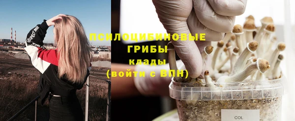 прущие крисы Белоозёрский