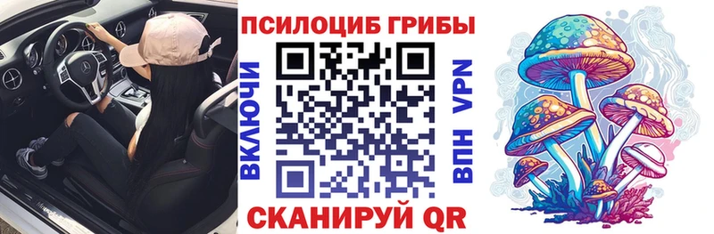 Псилоцибиновые грибы Psilocybine cubensis  Котельниково 